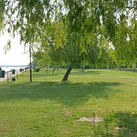 Azurro * شيوفوك